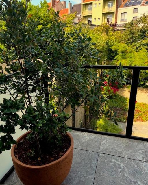 Huis Agnes オステンド エクステリア 写真